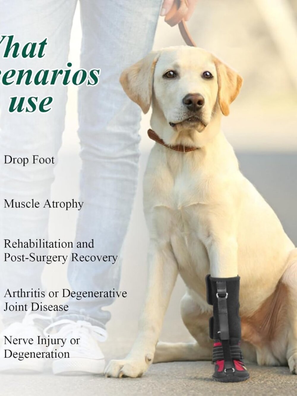 Strap-On Drop Foot Brace (No Knuckling Boot Brace) for Dogs - Picture 3 of 6